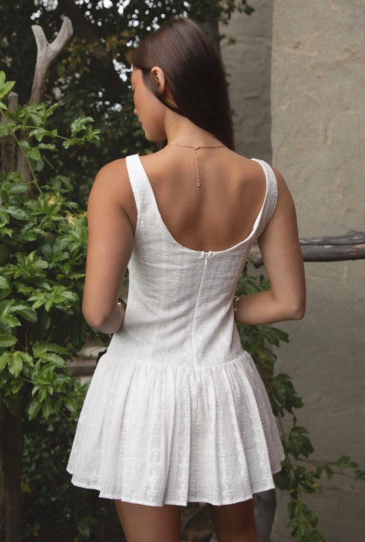 Valentina Embroidered Drop Waist Mini Dress