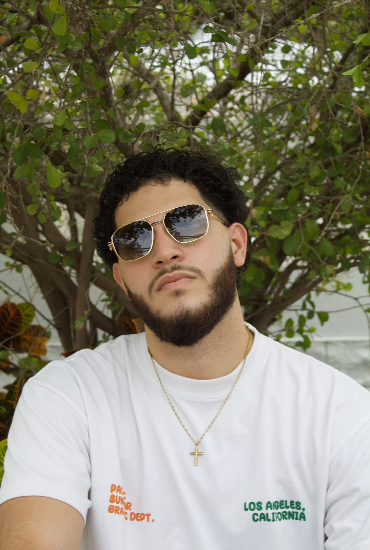 Ariah Gold Frame Sunglasses
